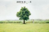 绿树成阴：享受自然美景的绝佳去处，放松心灵的理想选择