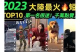 2023年最新抖阴视频盘点，这些热门内容你不能错过