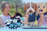 揭秘抖阴骗诈手法，教你如何辨别与防范