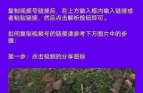 教你如何轻松下载抖音视频的全攻略