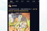 抖阴1.5.6破军版本全解析，新功能大揭秘与使用技巧