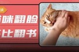 快猫抖阴：如何安全、有效地使用这类软件