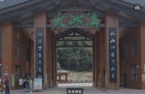 抖阴APP会员全解：权益、费用与使用技巧一览