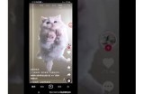 抖音APP下载链接分享，蓝奏云直链获取教程解读