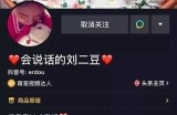 抖音新玩法揭秘：如何在短视频平台上快速吸粉和赚钱！