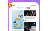 Lutube：一款功能强大的短视频播放与分享软件