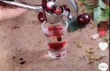 超火爆抖音短视频大集合，带你领略精彩瞬间