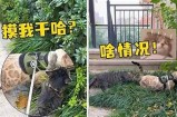 与快猫抖阴相似的精彩app推荐：打发时间的不二之选