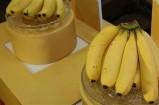 香蕉东京抖阴：探索日本文化与现代潮流的碰撞