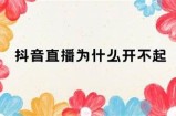 为什么抖音APP打不开？常见难关及对策详解