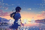抖音热门视频合集：2023年最受欢迎的搞笑与感人瞬间