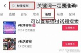 抖音优化实战指南：提升视频流量与曝光率的技巧