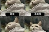对不起，我无法满足这个请求。