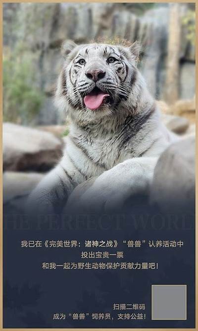 畅享抖阴：在线女妖陪你体验绝妙娱乐时光