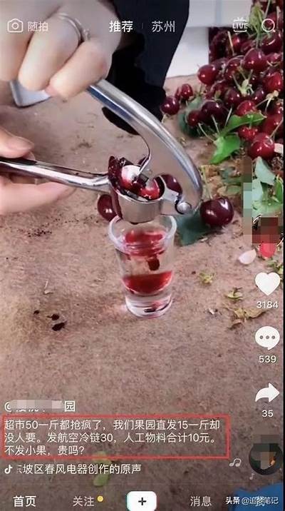 超火爆抖音短视频大集合，带你领略精彩瞬间