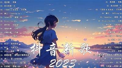抖音热门视频合集：2023年最受欢迎的搞笑与感人瞬间