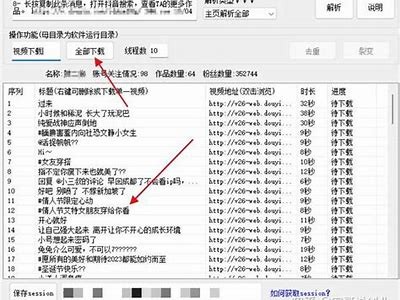 如何解决抖阴直播下载困难，轻松获取直播视频