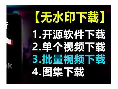 无限制币抖阴下载教程及百度云资源分享，轻松获取攻略！