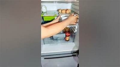 抖阴美的两门冰箱：完美设计与卓越性能的完美结合