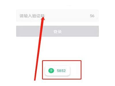 抖阴Live登录方法详解，快速注册与使用指南