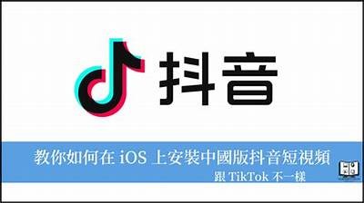 大人版抖音iOS下载：全新社交体验与精彩视频分享