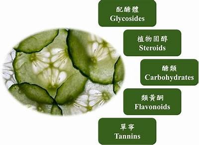 小黄瓜的神奇功效，竟然可以媲美抖音热门！