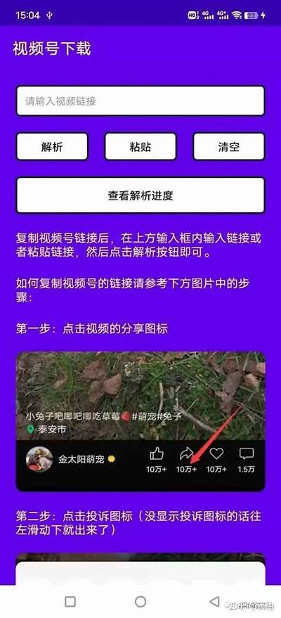 教你如何轻松下载抖音视频的全攻略