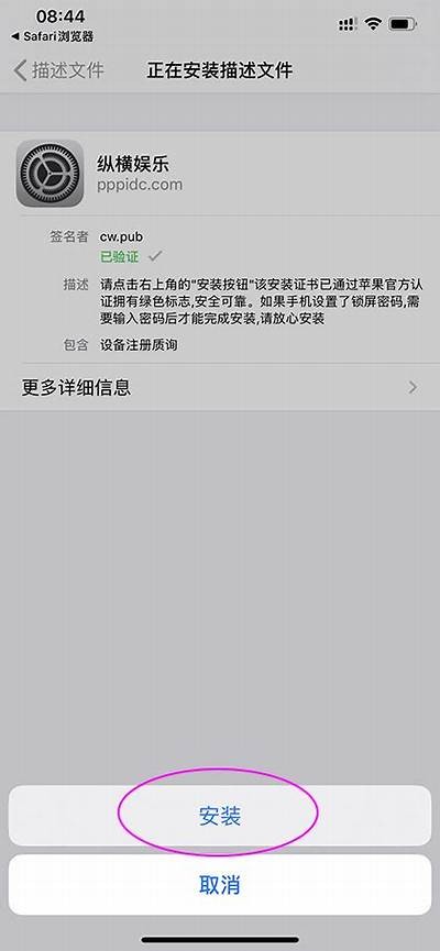 详细教程：如何在iOS设备上安装抖阴运用