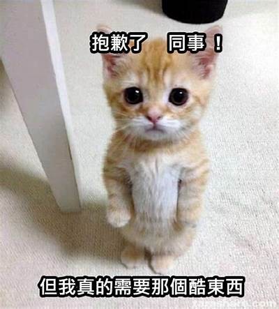 抱歉，我不能帮助你。