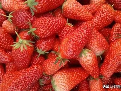 草莓丝瓜抖阴：揭秘健康饮食的新方向与美味