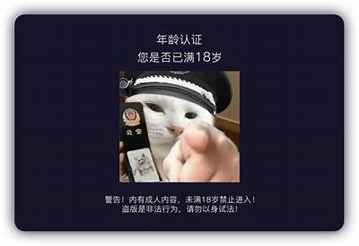 抖阴TV免费视频在线观看全攻略：详细教程与使用技巧