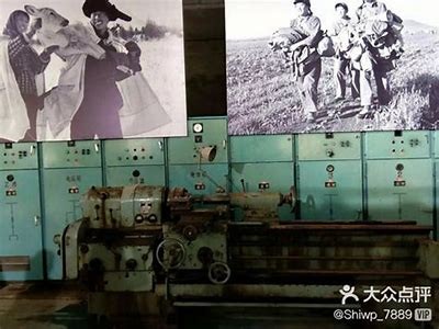 探秘抖阴快猫1004：无标题内容与隐藏功能详解