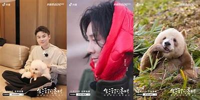 2023年热门抖音短视频App推荐大全，轻松打造精彩短视频
