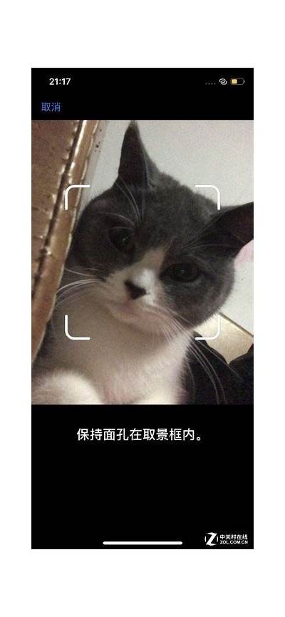 抖阴快猫苹果版内测版免费下载，享受最新功能！