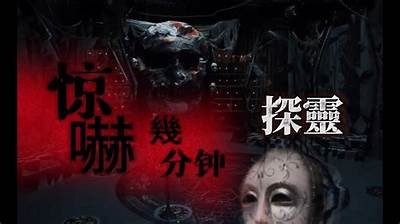 探秘抖阴快猫：2023年最热门社交App的真实体验与调查