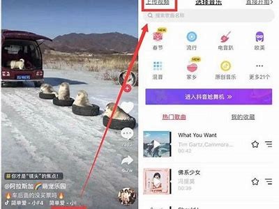 抖音成年直播APP使用指南：掌握技巧，提升观看体验!