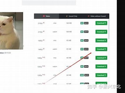 抖音破解版迅雷下载链接，安全快速获取最新版本教程！