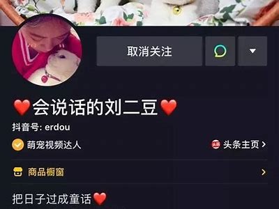 抖音新玩法揭秘：如何在短视频平台上快速吸粉和赚钱！