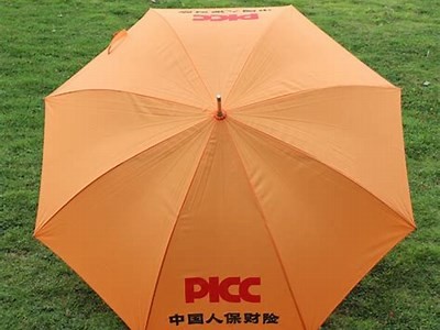 抖阴福利站：享受安全无忧的精彩内容与福利分享