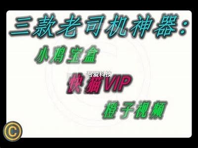 揭秘抖阴老司机软件大哥的使用技巧与注意事项