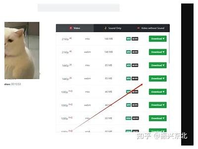 便捷下载抖阴视频到苹果设备的方法与步骤详解