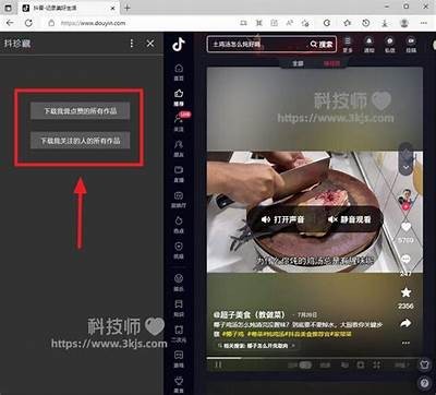 如何获取2018抖音会员共享资源，窍门与方法大揭秘！