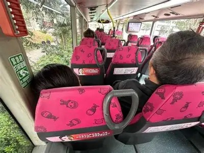 抖音阴婚祭祀唢呐大全：精彩视频集锦与传统解读