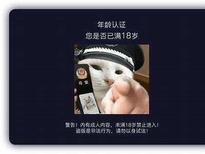 灰姑娘在香港抖阴视频：揭秘背后的故事与精彩瞬间