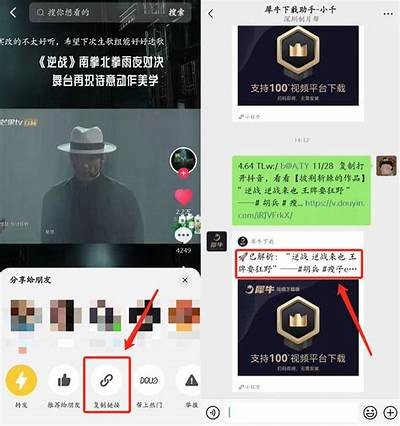 彻底解析抖阴iOS版安装链接及使用指南，轻松上手！