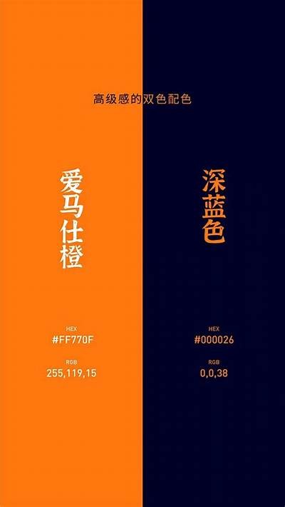 探索抖音热门小视频：最新精彩内容聚合导航