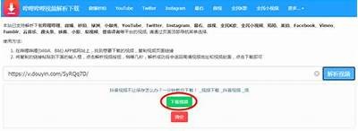 2023年最新抖音视频下载方法，轻松保存精彩瞬间！