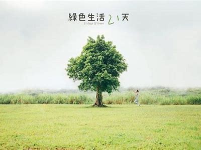 绿树成阴：享受自然美景的绝佳去处，放松心灵的理想选择