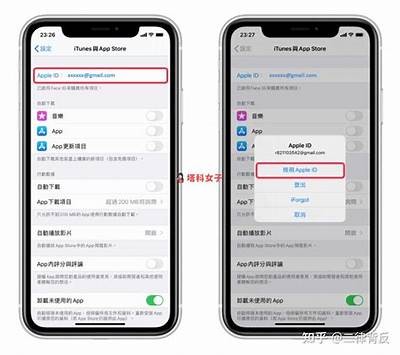 国际版抖音app下载：快速体验全球热门短视频平台！
