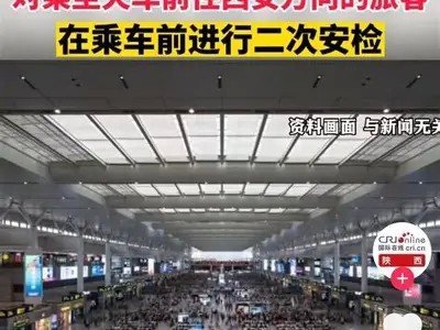 抖音精选：免费下载热门视频的秘密技巧分享